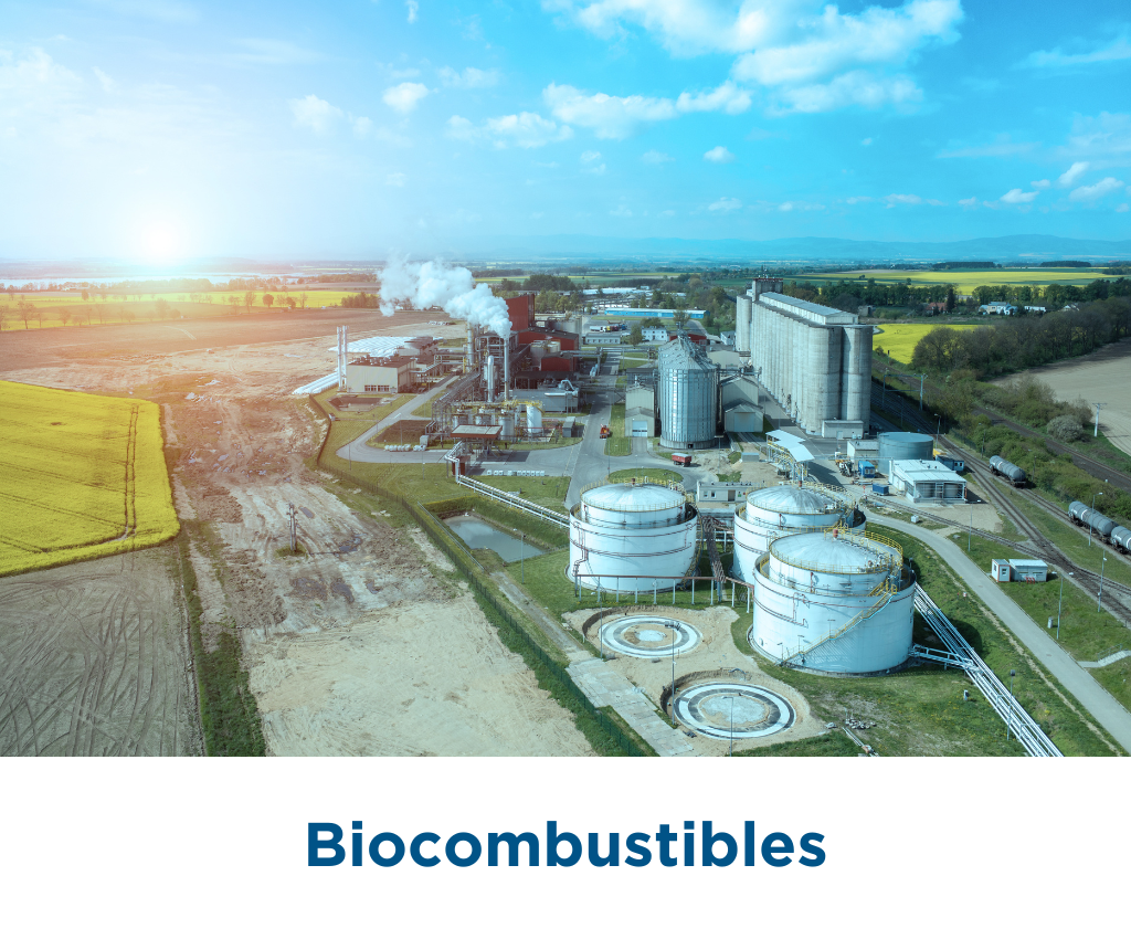 Biocombustibles - IYCSA