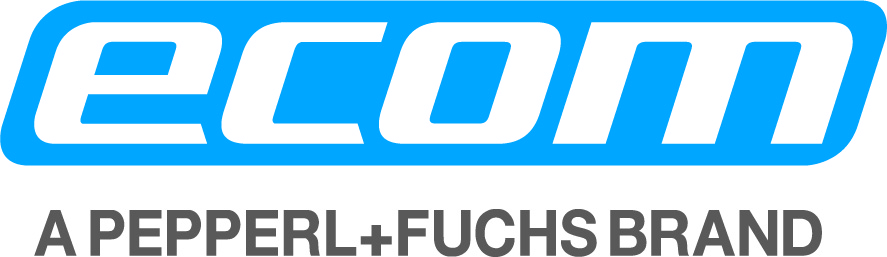 Logo-ecom